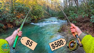 Cheap vs Expensive Fishing Rod Challenge - Fly Fishing for Wild Trout!