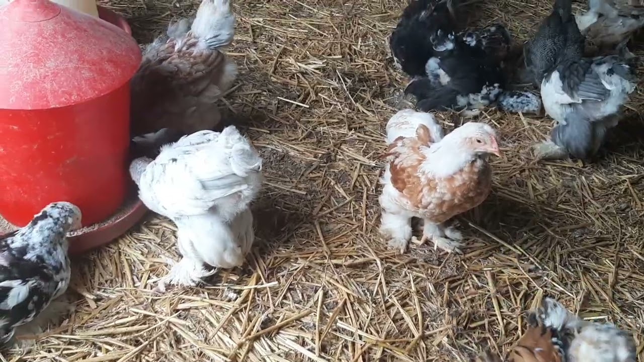 Je répond à quelques commentaires