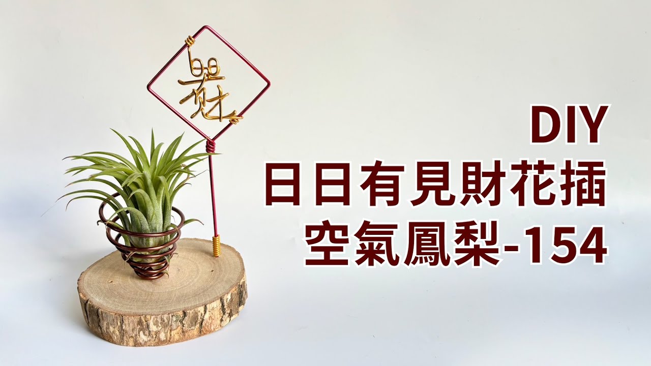 DIY wire 教你如何使用彩色鋁線製作空氣鳳梨 日日有見財花插 How to make Aluminum wire Air plant flowerstand Money
