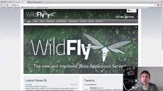 JBoss 8 Wildfly: Erster Blick