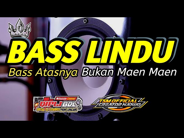 DJ PALING NJEDUG GLERR VERSI BASS LINDU TERBARU class=