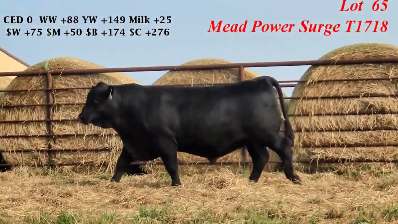 Mead Farms Lot 65