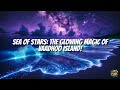 Sea of Stars: The Glowing Magic of Vaadhoo Island!