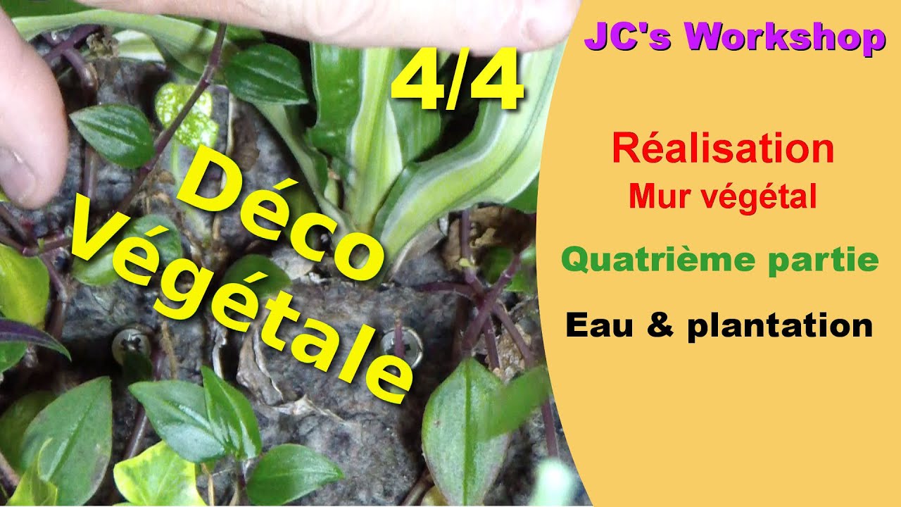 Réaliser son mur végétal d'intérieur chez soi 4/4, l'eau & plantation - #29