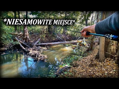 Wideo: Duże i małe rzeki Iżewska