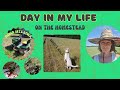 What Homesteading Really Looks Like | Garden, Mow, Repeat