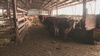 Maine farmers push for tens of millions to help with PFAS crisis
