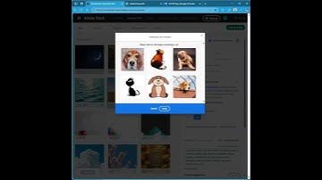 how I automatically keyword and title my stock images on adobe stock to make money quickly