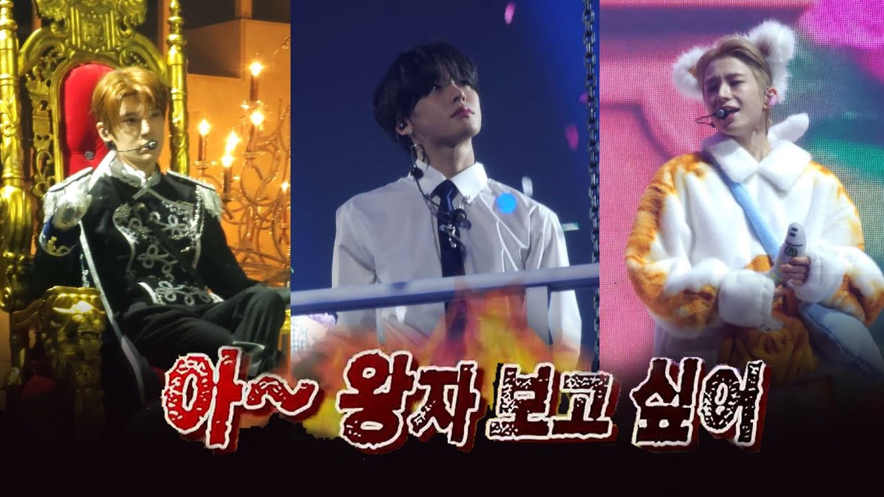 결혼했는데 남편이 집에 안들어와요 | 유부녀 시즈니 브이로그 | 위시 팬미팅 후기