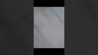 D.O sureño getting checked by active Norteño screenshot 5