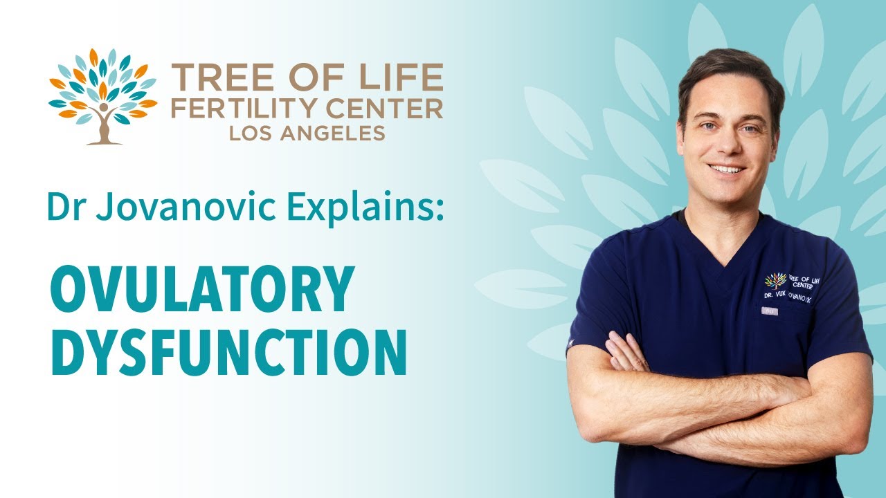 Dr Jovanovic Explains: Ovulatory Dysfunction
