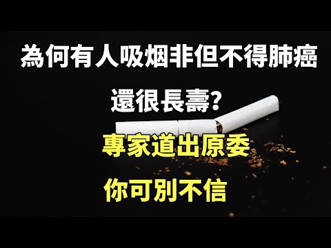 為何有人吸烟非但不得肺癌，還很長壽？專家道出原委，你可別不信