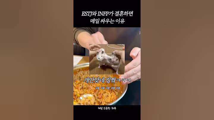 INFP 남편과 ESTJ 아내 결혼생활ㅋㅋㅋㅋ #유머