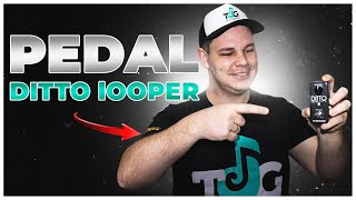 REVIEW DO PEDAL DITTO LOOPER