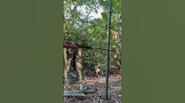 Tôi làm con dao quắm phát rẫy bằng thép trục tàu thủy chặt cây tre như chặt chuối vậy