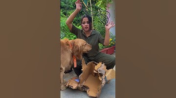 Toofa 🌸❤️ #ginnipandey #minivlog #shortsviral #trending