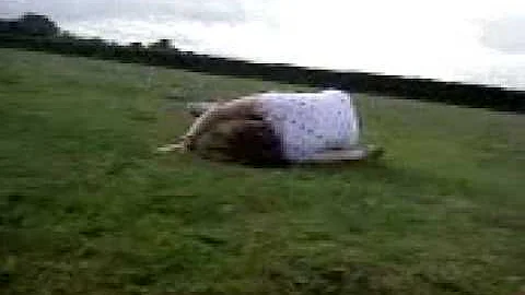 Charlotte orr = Retard