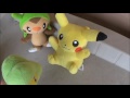 Beginning of video