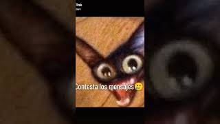 ESTO ESD PARA TI !!