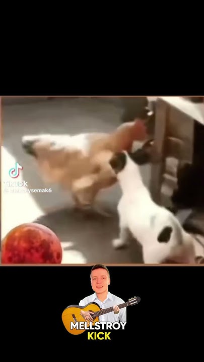 чиназес😄 #мем #юмор - YouTube