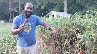 Cleaning the garden up and getting ready for fall planting. Pray you are doing the same.