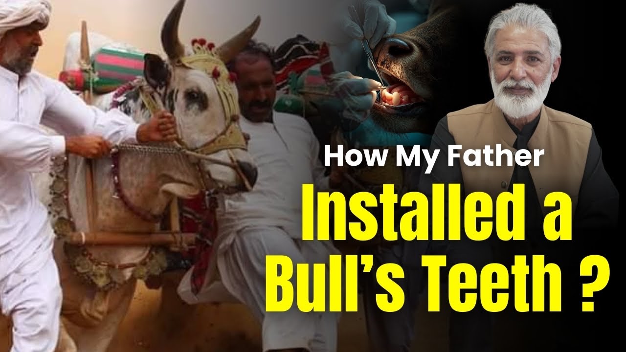How a Bull’s Teeth Were Replaced | A Real Skill Story from Pakistan