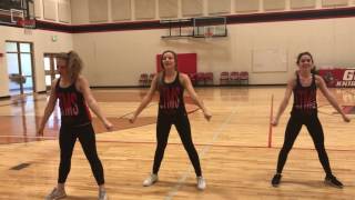 2017 Tryouts - Dance Routine by Count