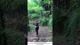 Slingshot Practice in the Woods – Sniping a Branch with Precision 🌲🎯