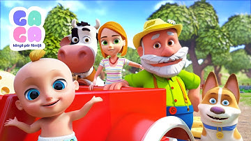 Gjyshi në fshat | Ga Ga Këngë për fëmijë