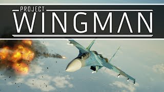 [Lets Play] Project Wingman Alpha Demo Kickstarter, Game Simulasi Pesawat Tempur screenshot 1