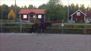 Tjorven 3/10-13