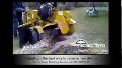 Chester NY 10918 Tommy Trees Stump Grinding Service Stump Removal Tree Service