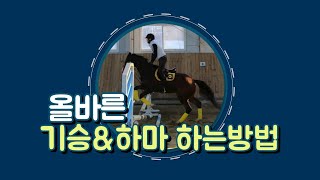 [타요tv] 올바른 기승&하마 하는방법