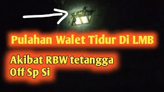 Puluhan Walet Tidur Dibibir LMB Akibat Tetangga Off Sp Si | Efek Buruk Saca