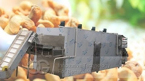 Belt Type Nuts Roaster Line|Peanut Cashew Cocoa Beans Roasting Machine