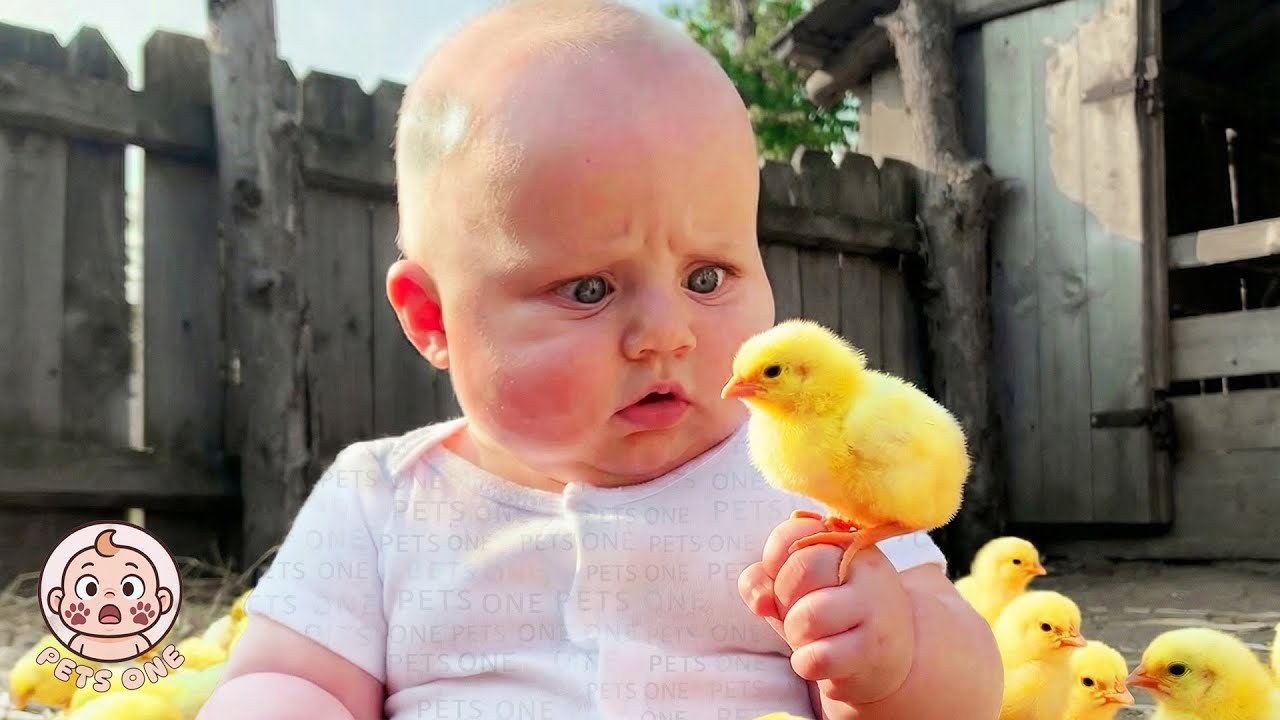 Priceless Baby Reactions to Farm Animals for the First Time 🐥 Funniest Farm Moments