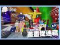 畫畫捉迷藏#20｜狸貓來啦！畫畫躲貓貓MECCHA CHEMELEON#20｜玩什麼鬼啦｜ft.黃阿瑪的後宮生活_狸貓