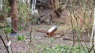 Homemade Crossbow vs Beer Keg