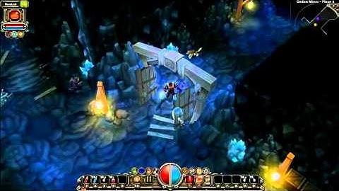 TorchLight Gameplay Part.2