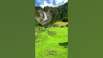 تلاوه هادئه لشيخ رعد محمد الكردي