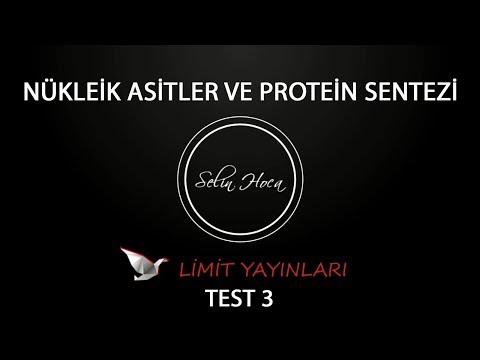 52) Limit Yayınları - Nükleik Asitler ve Protein Sentezi - Test #3