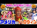 【アメリカのハロウィン🇺🇸】仲良し4兄弟と過ごす本場のハロウィンがスゴすぎた!!