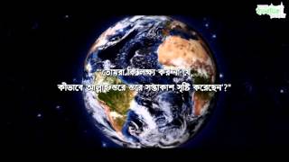 Surah Nooh | Muhammad Salah Nafea | Soothing Recitation  | Bangla Sub | Quran