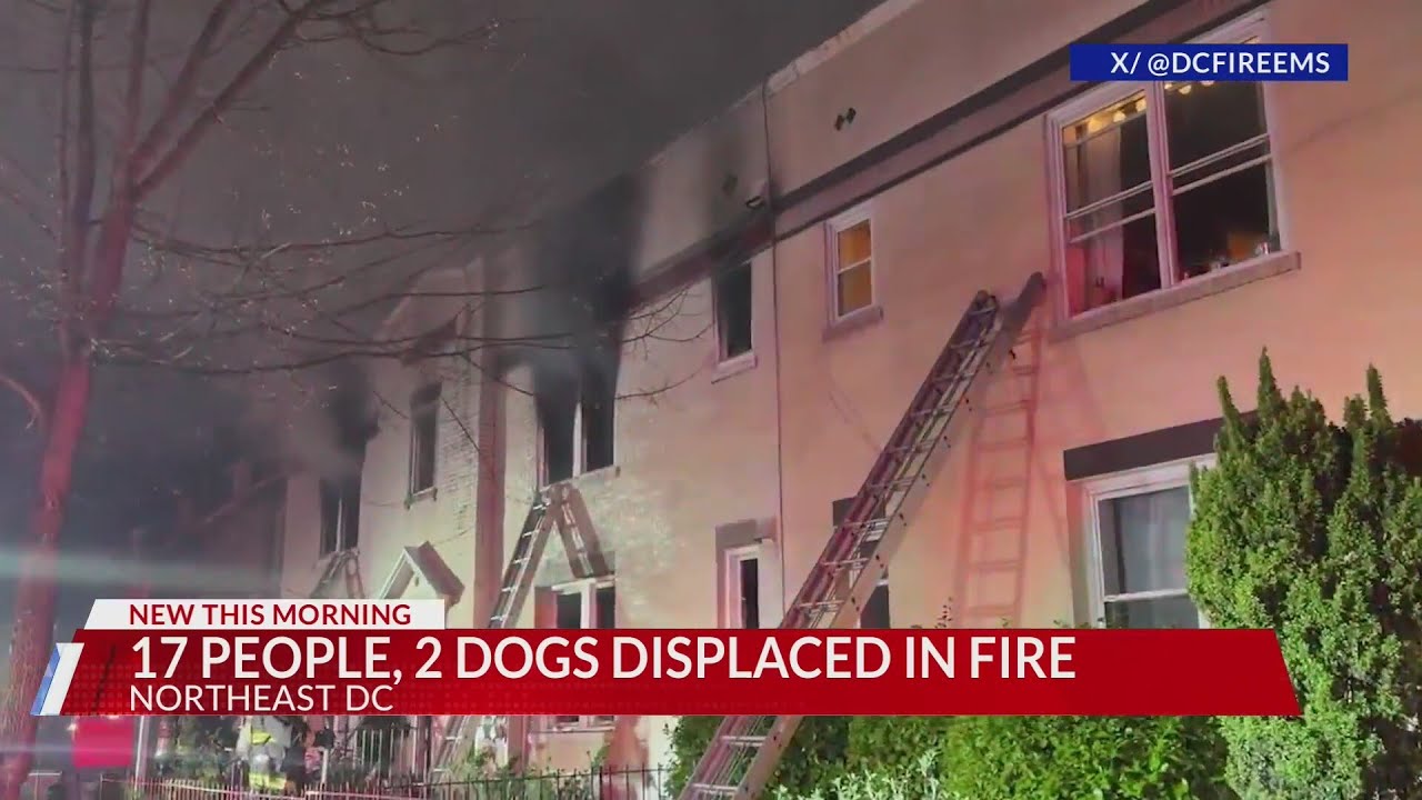 17 people, 2 dogs displaced after apartment fire in Northeast DC - YouTube