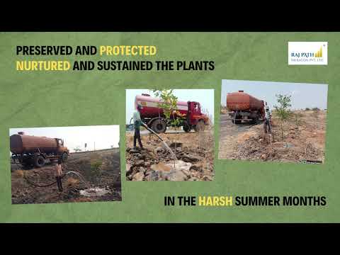 PN51 Plantation Success Story