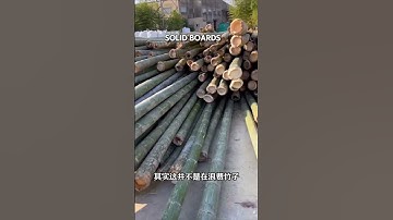 How Bamboo Turns Into Solid Boards #shorts