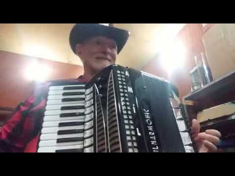 Vide Vida Marvada - Amilcar Bondesan - Acordeon