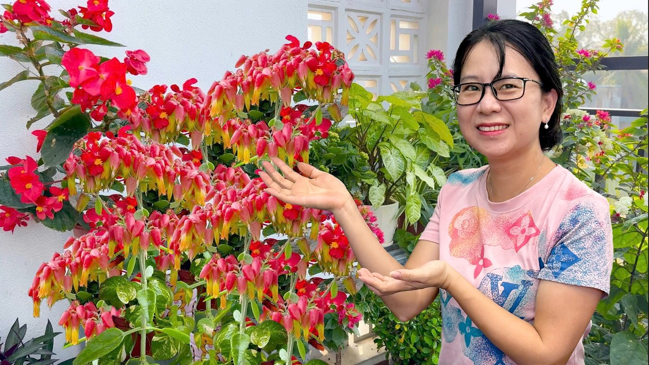 Красивые идеи сада для занятых людей и как размножать суккуленты