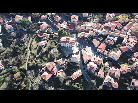 Η Ανδρίτσαινα (Ν.
