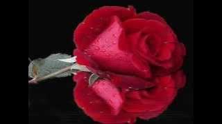 موسيقي...  طير بينا يا قلبي.    ♫ محمد فوزي ♫